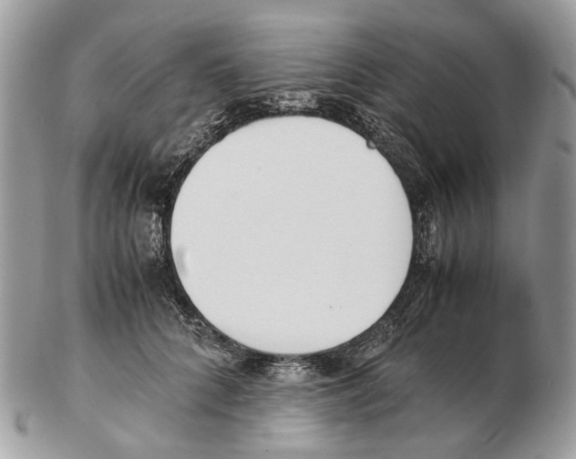 X0000102470704200809051333