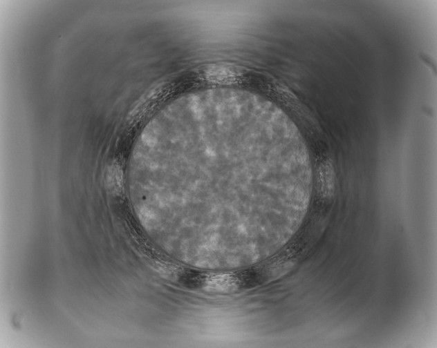 X0000102470705200809051333
