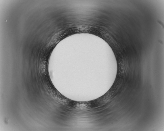 X0000102470706200809051333