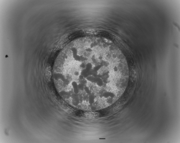 X0000102470707200809051333