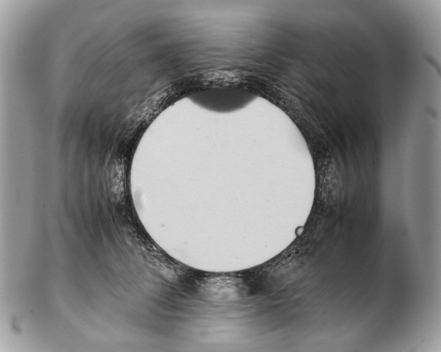 X0000102470708200809051333
