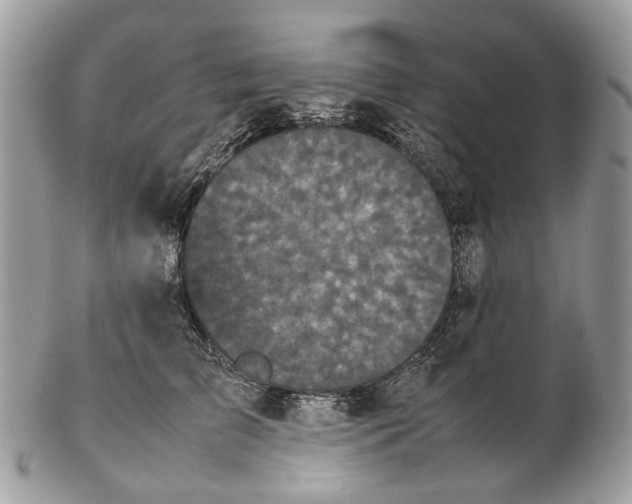X0000102470709200809051333