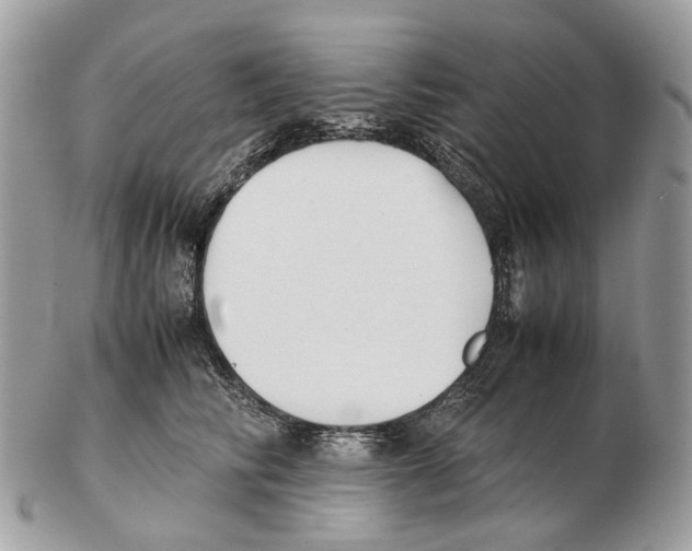X0000102470710200809051333