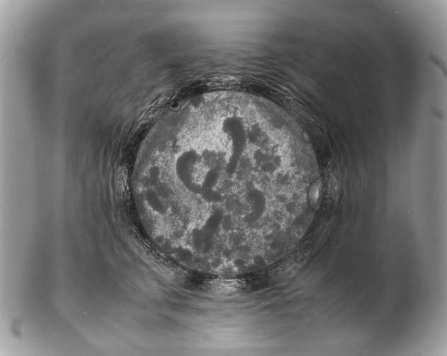 X0000102470711200809051333