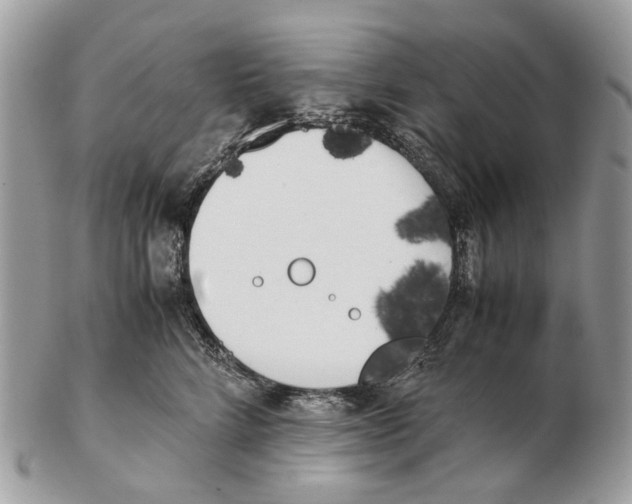 X0000102470712200809051333
