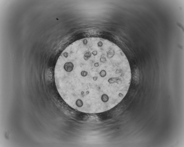 X0000102470715200809051333