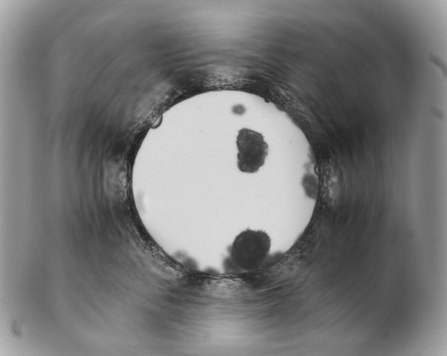 X0000102470716200809051333