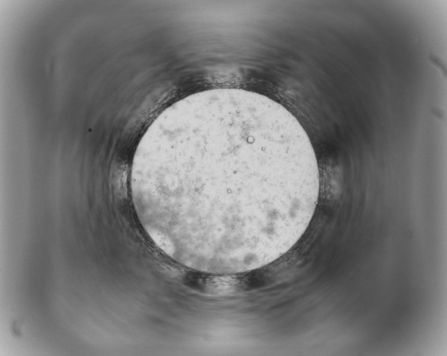 X0000102470717200809051333