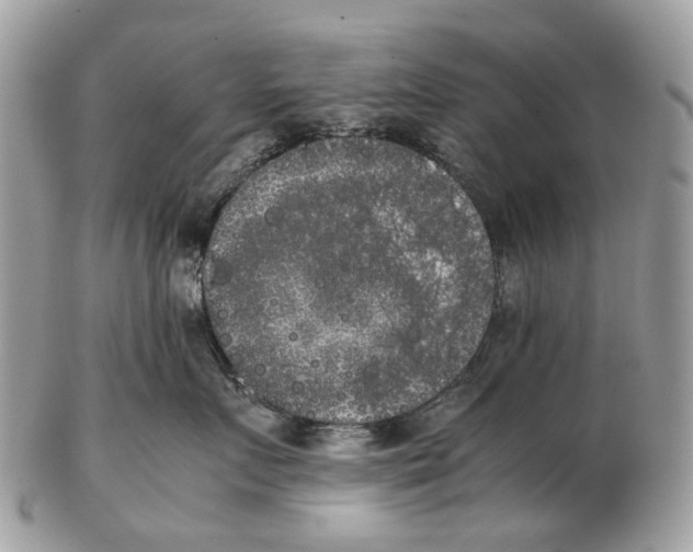 X0000102470719200809051333