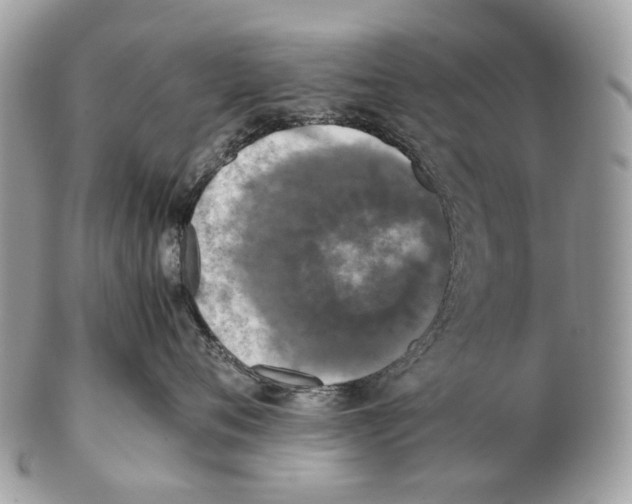 X0000102470720200809051333
