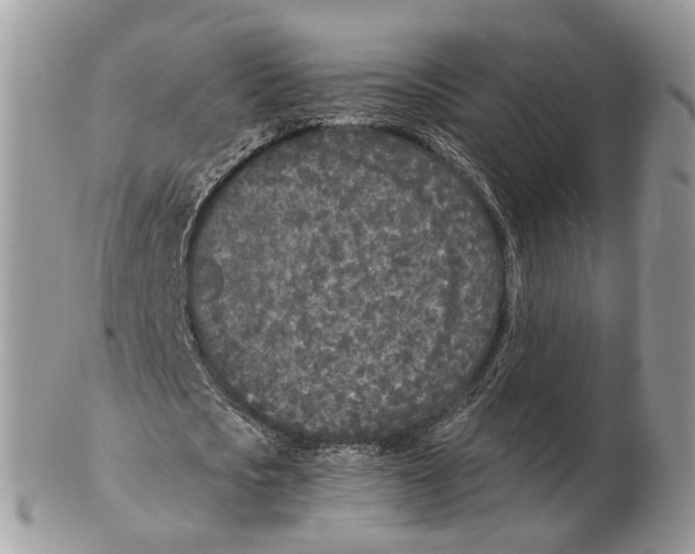 X0000102470721200809051332
