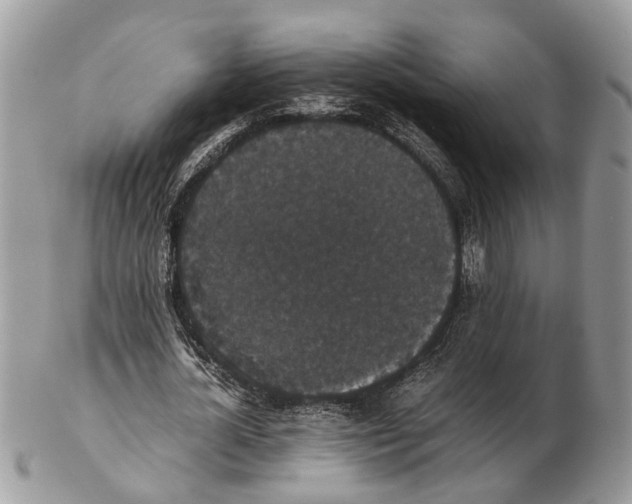 X0000102470724200809051332