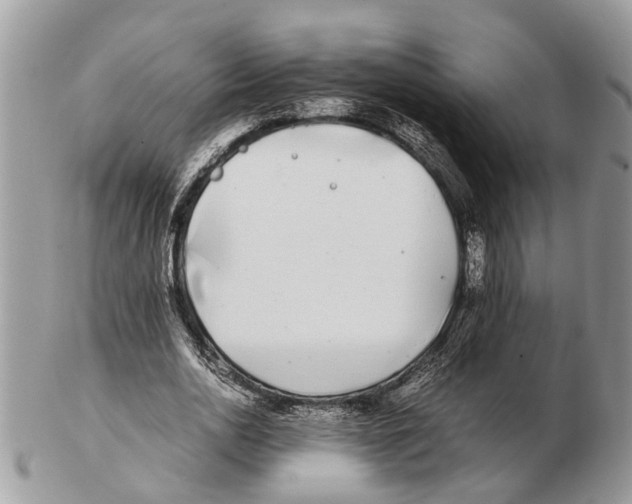 X0000102470726200809051332