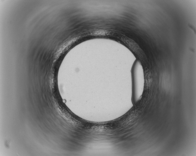 X0000102470728200809051332