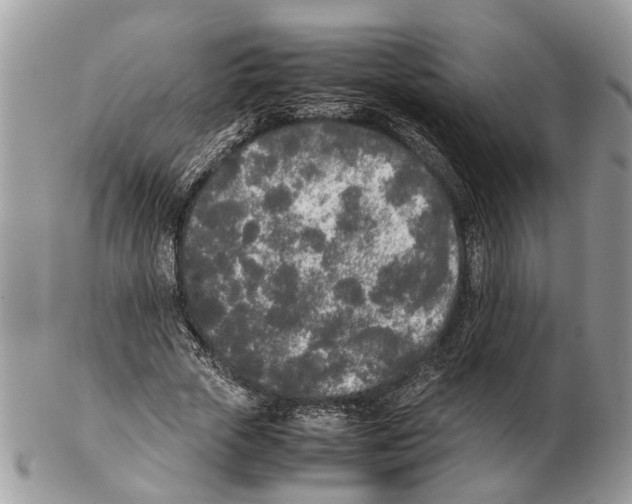 X0000102470729200809051332