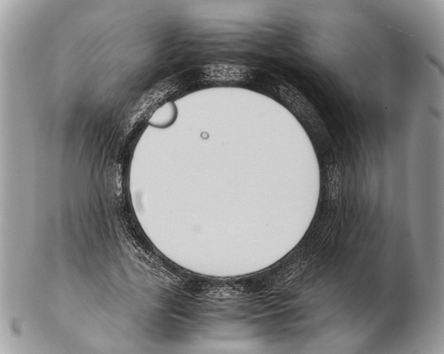X0000102470731200809051332