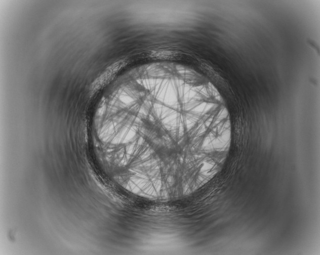 X0000102470734200809051332