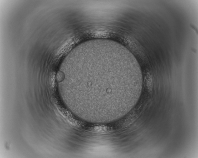 X0000102470744200809051332