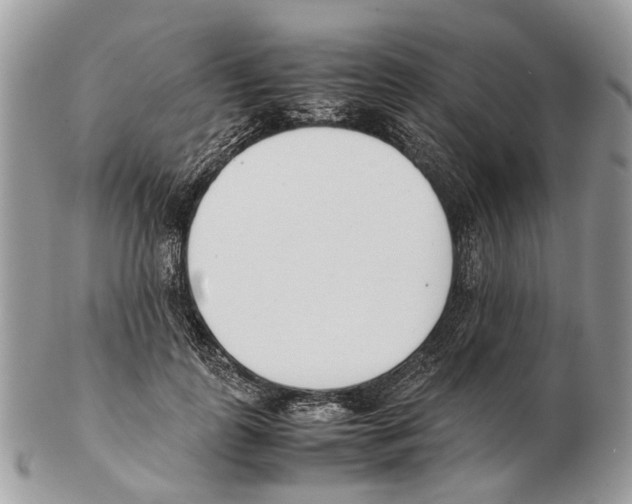 X0000102470747200809051333