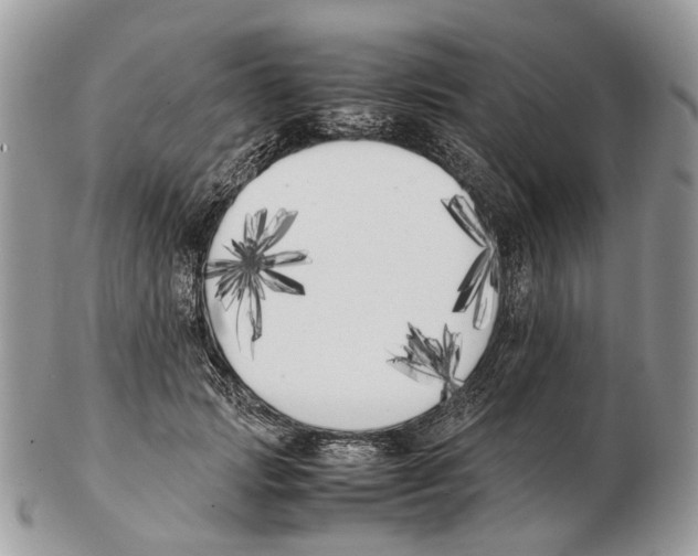 X0000102470749200809051333
