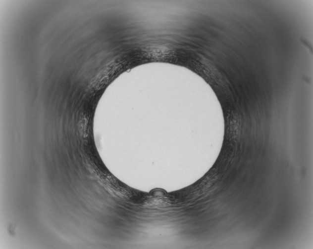 X0000102470750200809051333