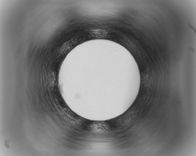 X0000102470752200809051333