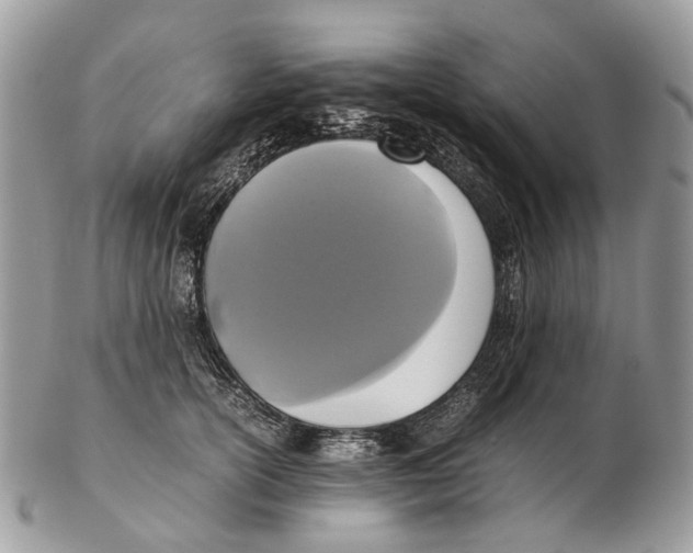 X0000102470754200809051333