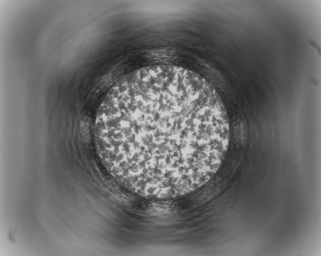 X0000102470757200809051333