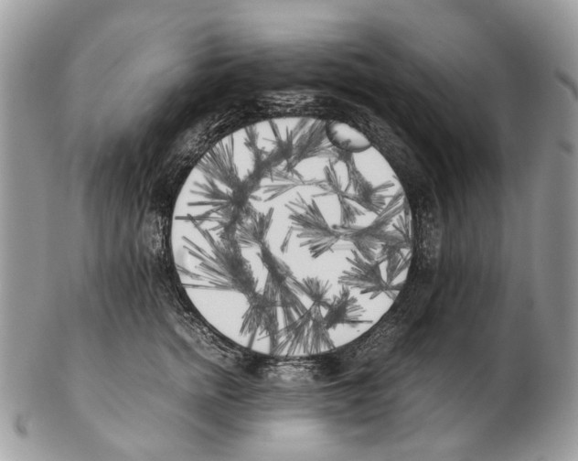 X0000102470758200809051333