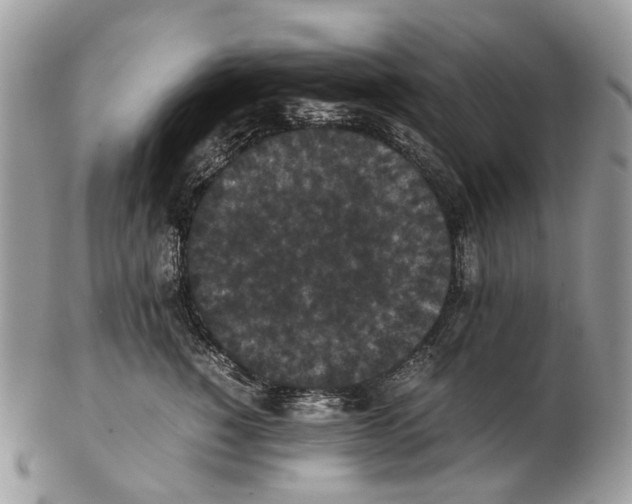 X0000102470760200809051333