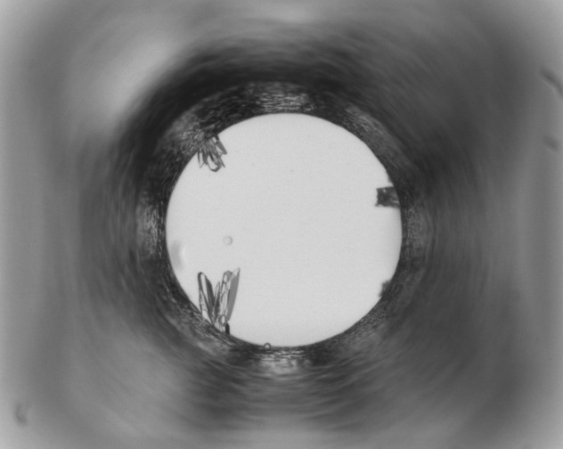 X0000102470761200809051333