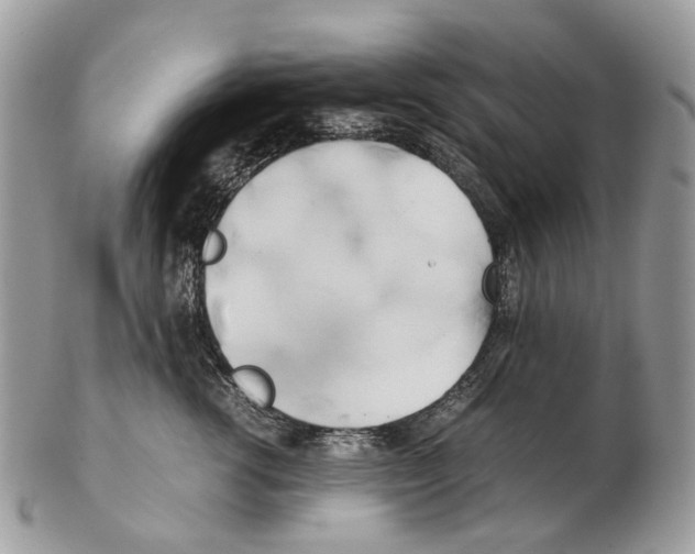 X0000102470762200809051333