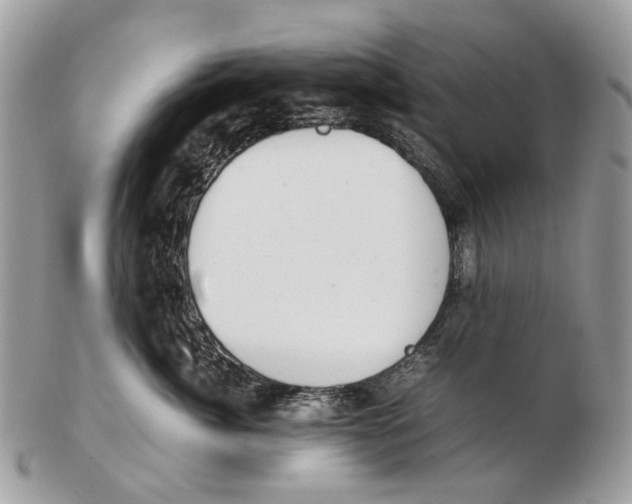 X0000102470764200809051333