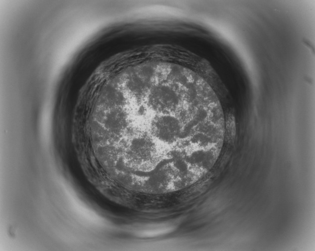 X0000102470765200809051333