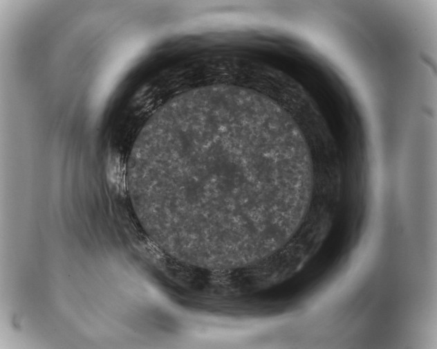 X0000102470766200809051333