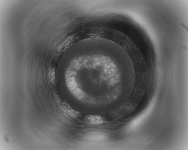 X0000102470767200809051333