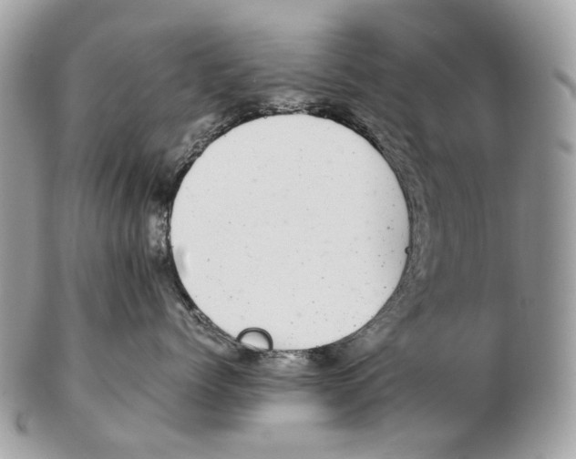 X0000102470768200809051333