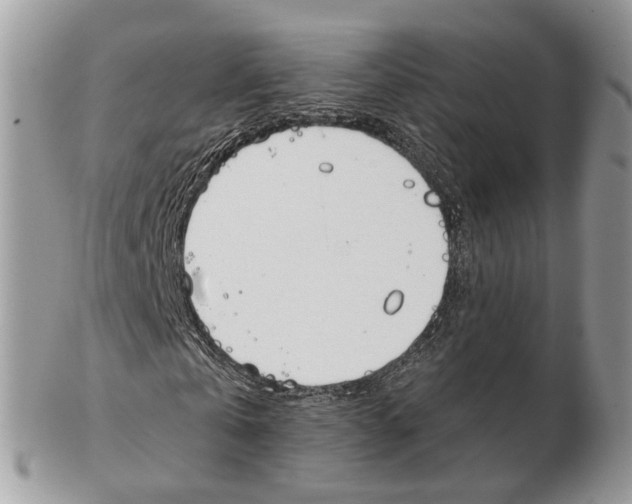 X0000102470769200809051332
