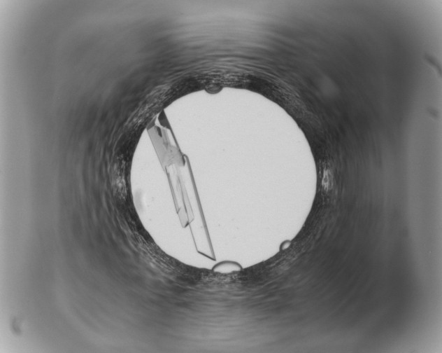 X0000102470771200809051332