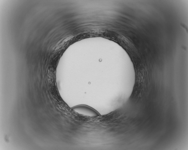 X0000102470773200809051332