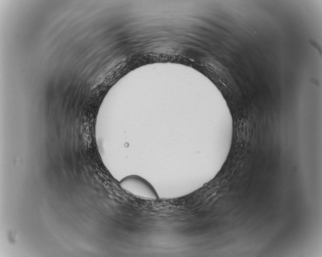 X0000102470774200809051332