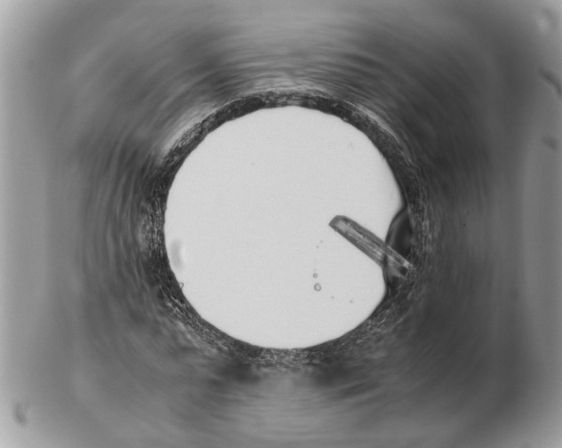 X0000102470775200809051332
