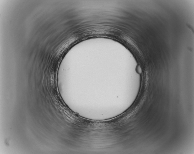X0000102470777200809051332