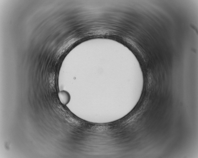 X0000102470778200809051332