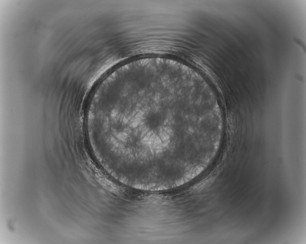 X0000102470779200809051332