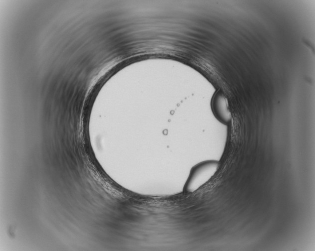 X0000102470780200809051332