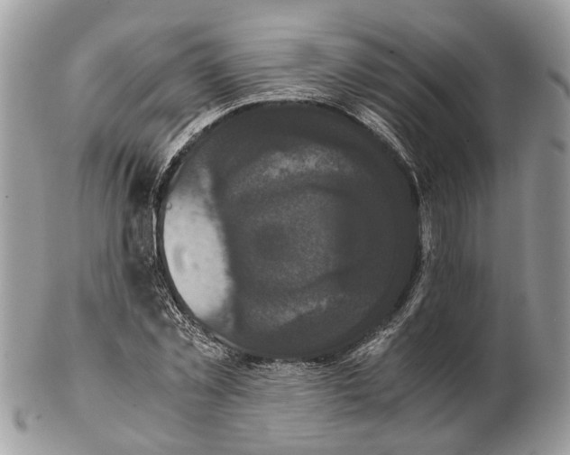 X0000102470781200809051332