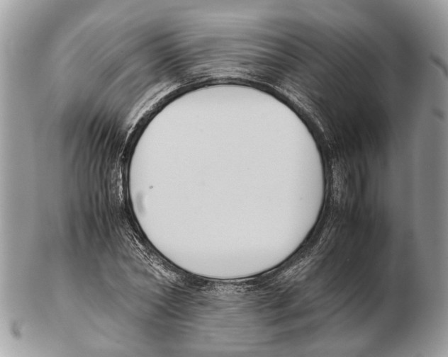 X0000102470782200809051332