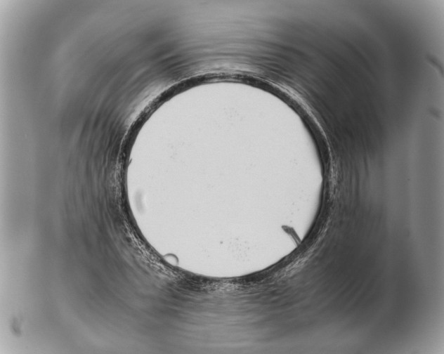 X0000102470783200809051332