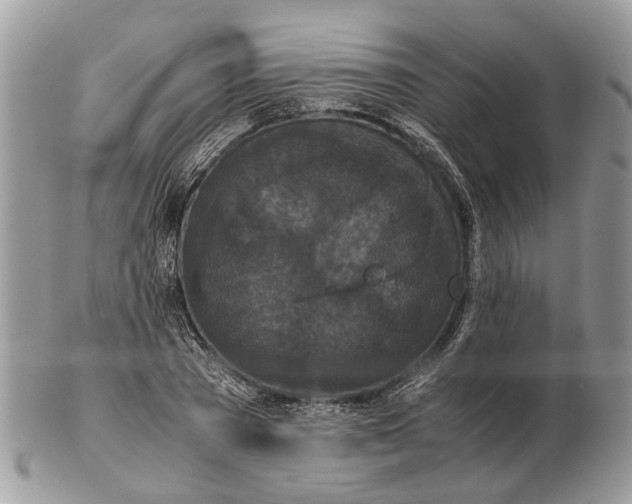 X0000102470785200809051332